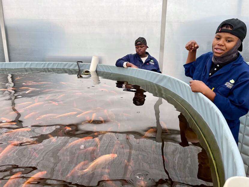 Students in aquaculture at Joshua’s agricultural training and learning centre in Johannesburg.