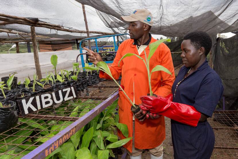 Landbouwtraining Ugandese jongeren