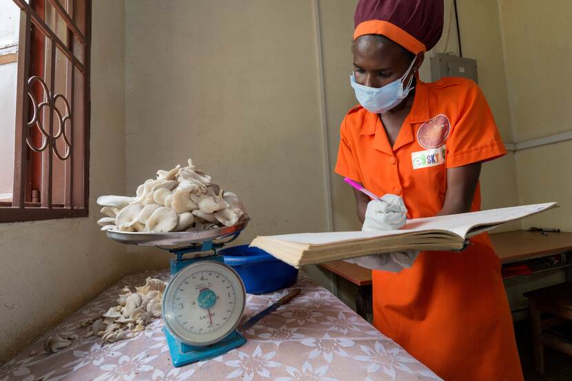 Ugandese jongere weegt champignons