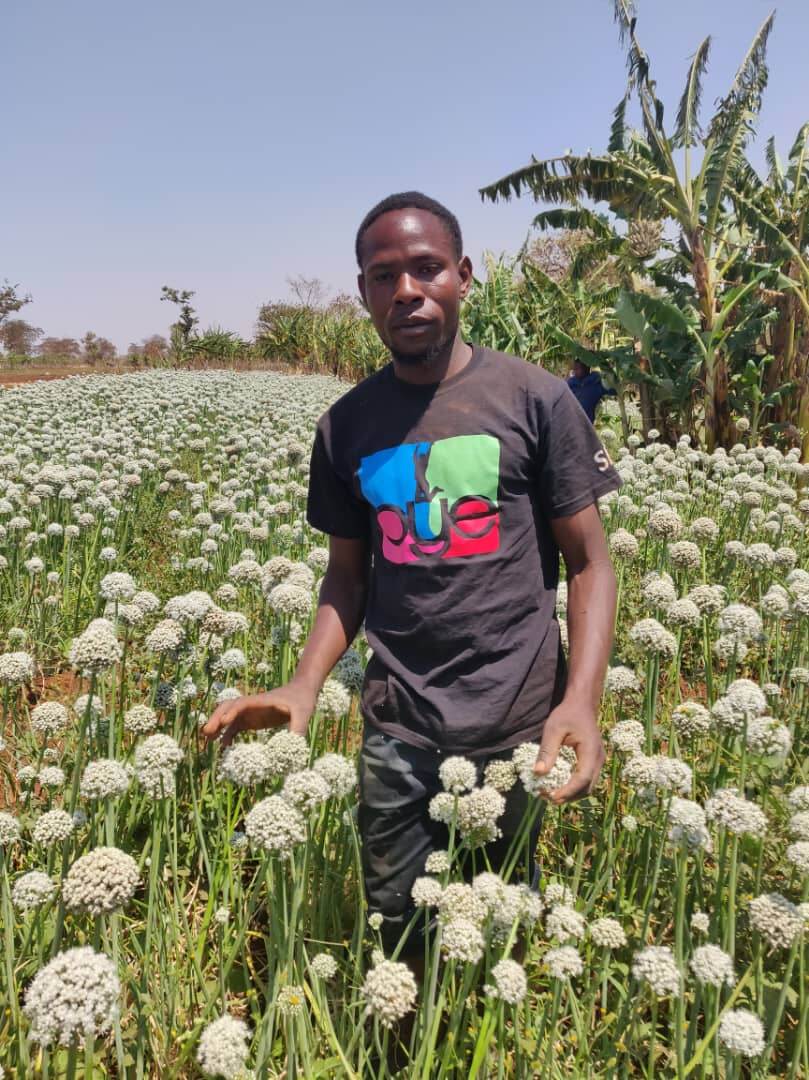 SNV-agriculture