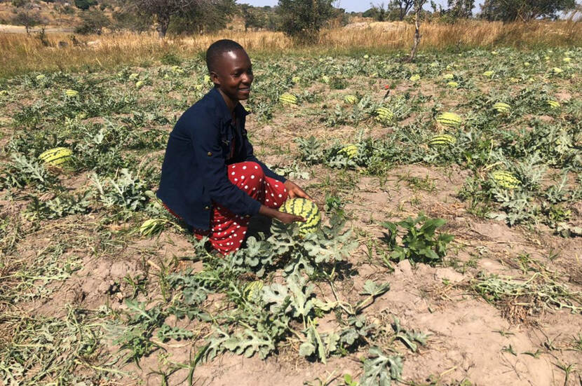 Agriculture in Afrika